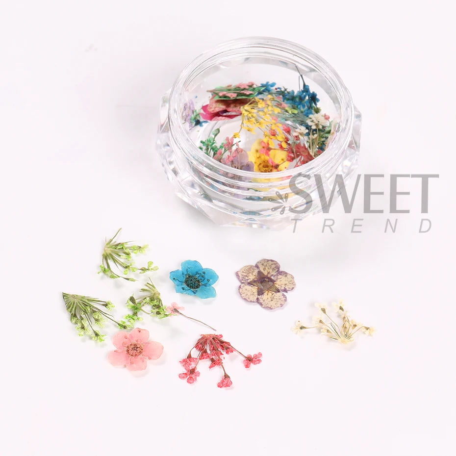 Vibrant 3D Dried Flower Nail Art Decorations - Versatile & Long-Lasting