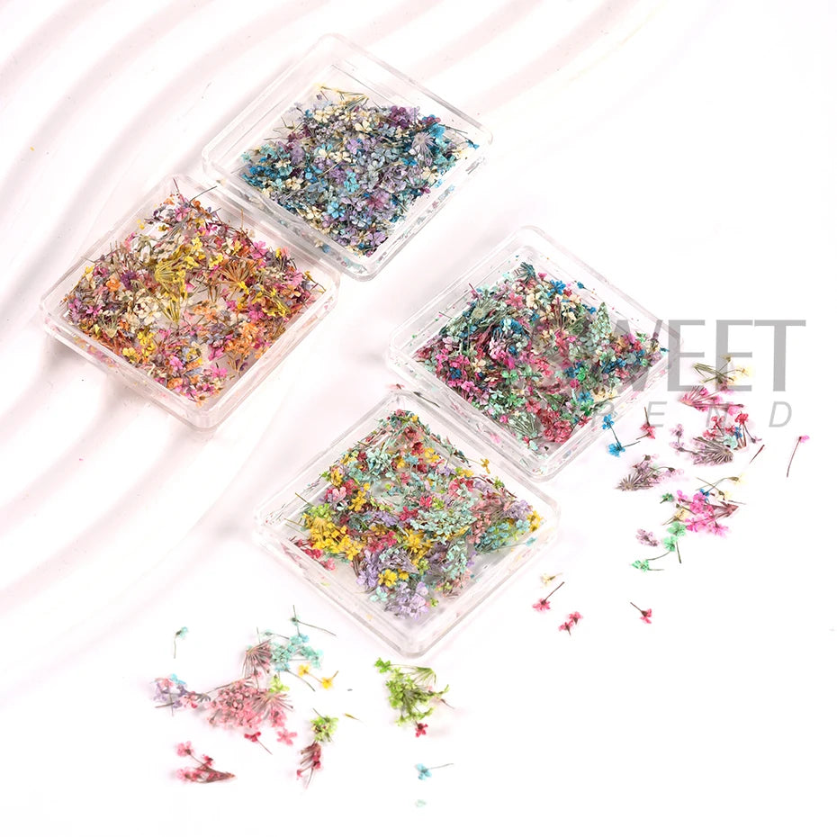 Vibrant 3D Dried Flower Nail Art Decorations - Versatile & Long-Lasting