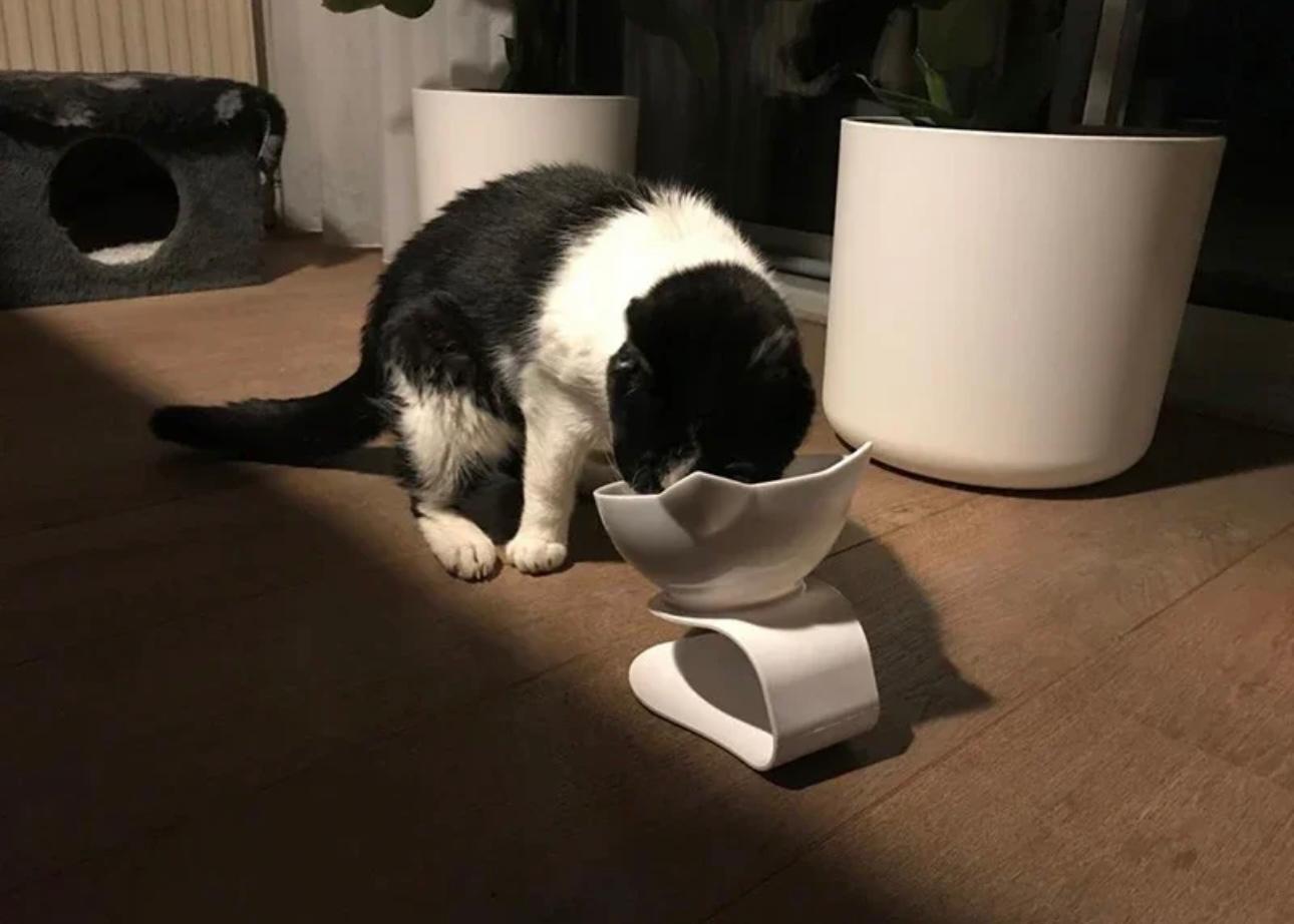 Ergonomic Non-Slip Pet Bowl with 15°C Slant - Cat & Dog Feeding Stand